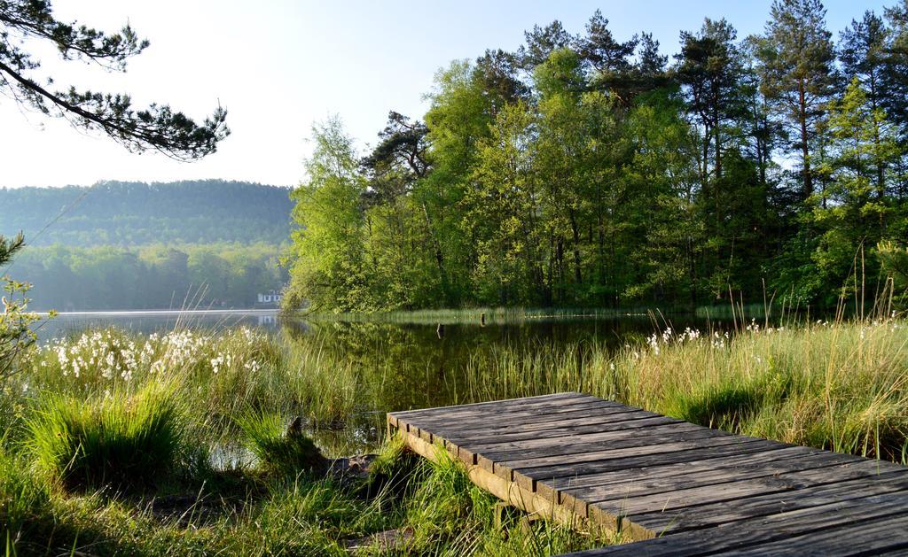 Le Gite De L'Ecureuil Sturzelbronn Екстериор снимка