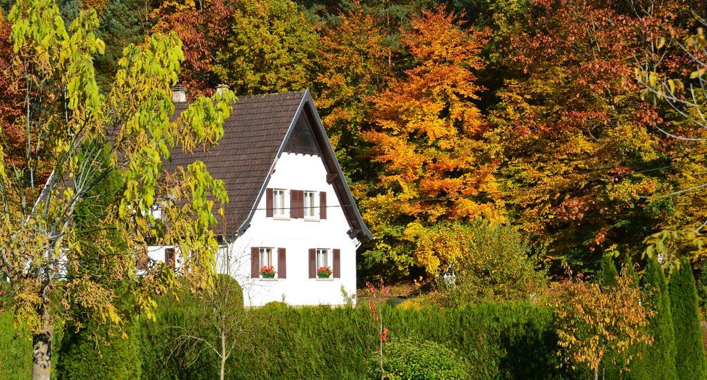 Le Gite De L'Ecureuil Sturzelbronn Екстериор снимка