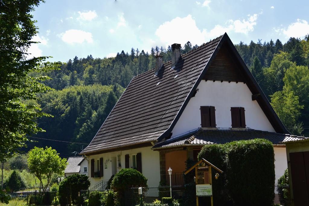 Le Gite De L'Ecureuil Sturzelbronn Екстериор снимка