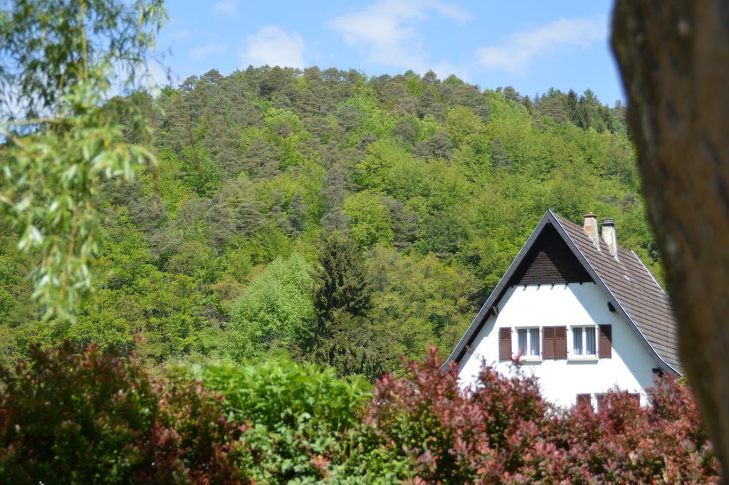 Le Gite De L'Ecureuil Sturzelbronn Екстериор снимка