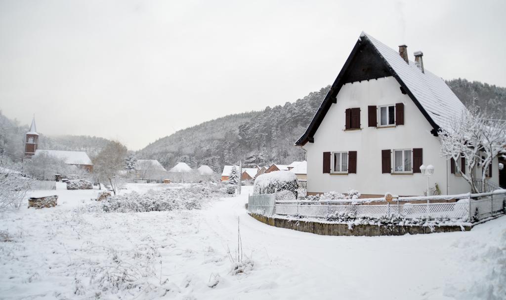 Le Gite De L'Ecureuil Sturzelbronn Екстериор снимка