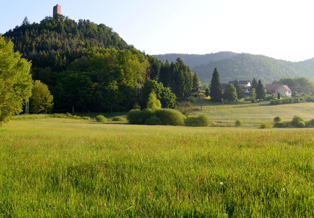 Le Gite De L'Ecureuil Sturzelbronn Екстериор снимка