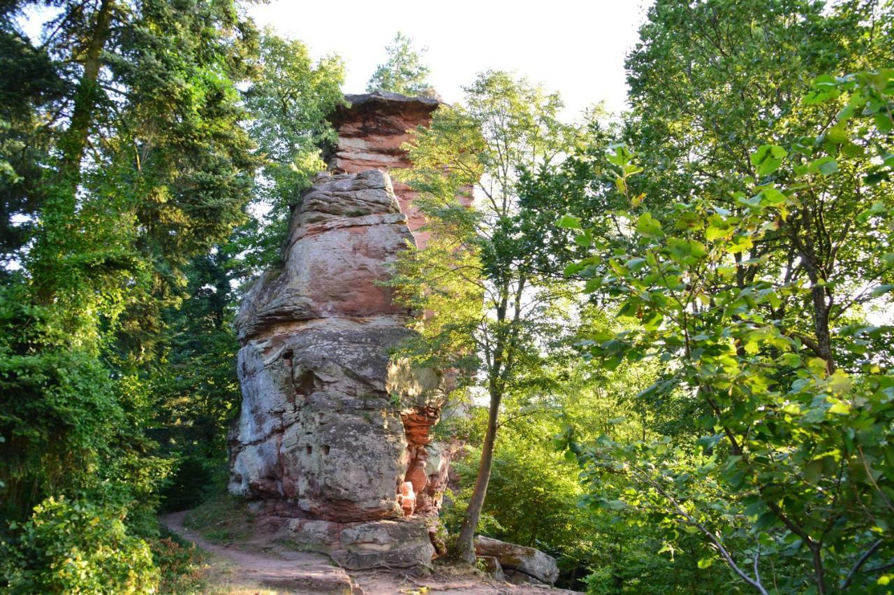 Le Gite De L'Ecureuil Sturzelbronn Екстериор снимка